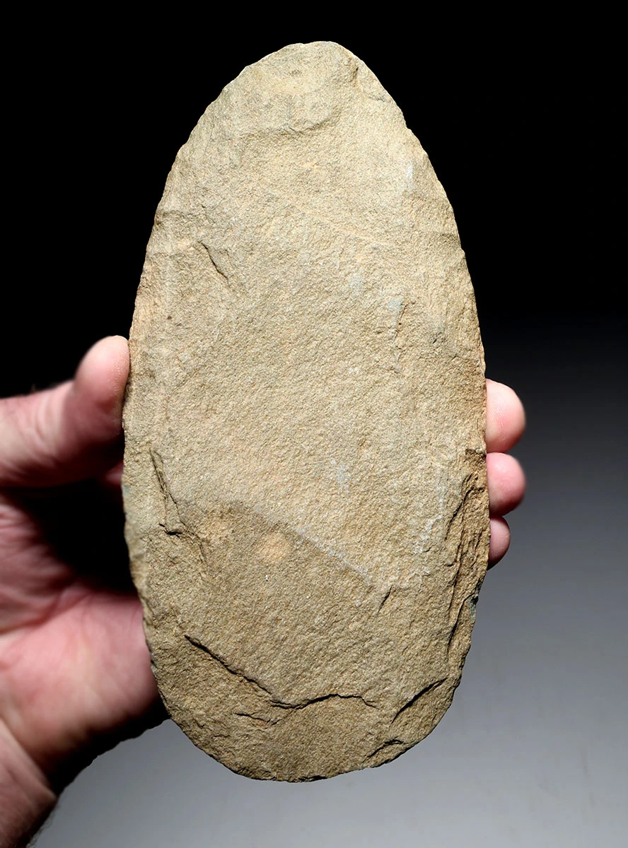 EXCEPTIONAL AND LARGE THIN STONE CELT WAR AXE FROM THE AFRICAN CAPSIAN NEOLITHIC  *CAP500