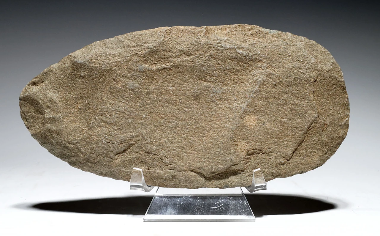 EXCEPTIONAL AND LARGE THIN STONE CELT WAR AXE FROM THE AFRICAN CAPSIAN NEOLITHIC  *CAP500