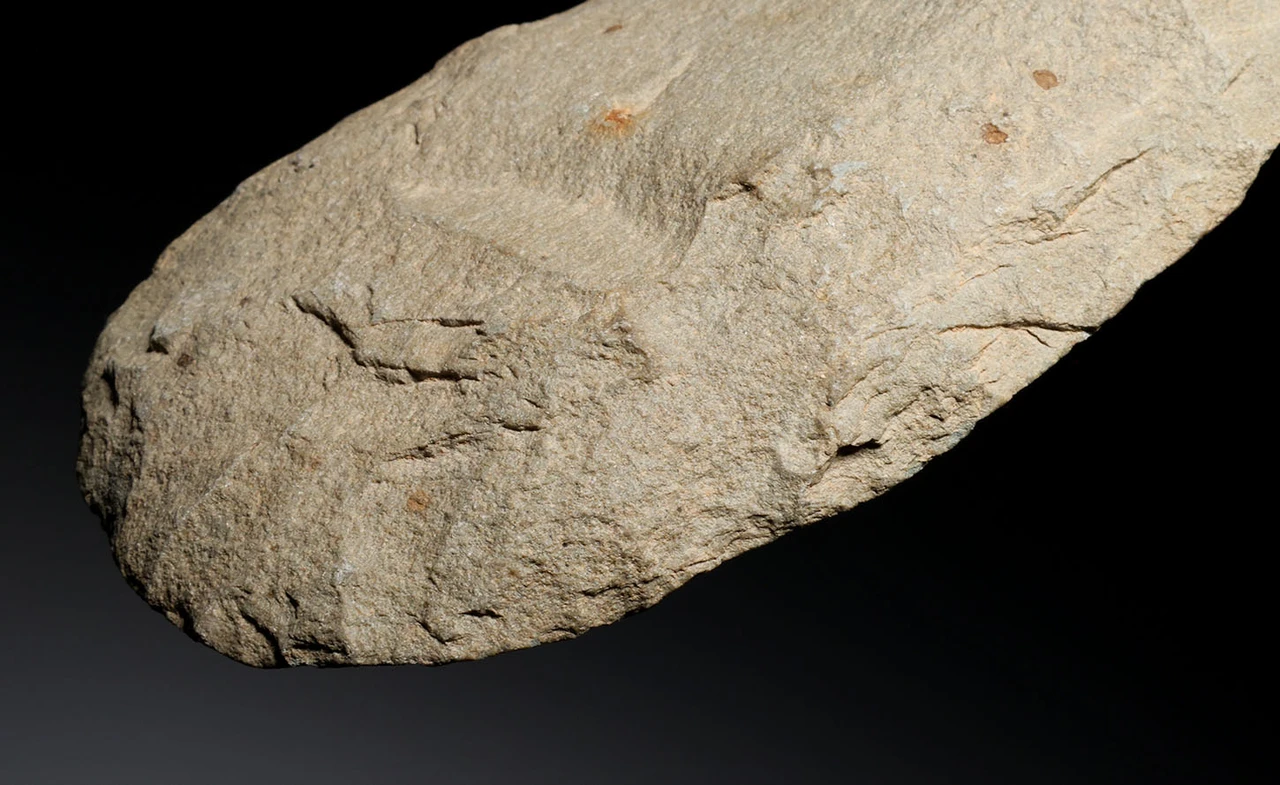 EXCEPTIONAL AND LARGE THIN STONE CELT WAR AXE FROM THE AFRICAN CAPSIAN NEOLITHIC  *CAP500