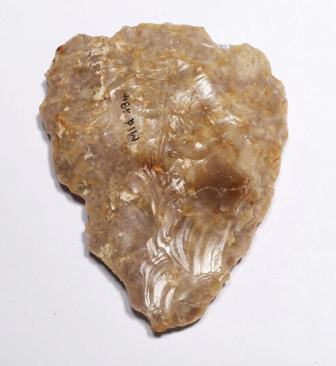 INGENIOUS THOUGHT EVOLUTION DESIGN NEANDERTHAL MOUSTERIAN COMBINATION FLINT BIFACE HAND AXE AND SAW FROM DORDOGNE FRANCE  *M560