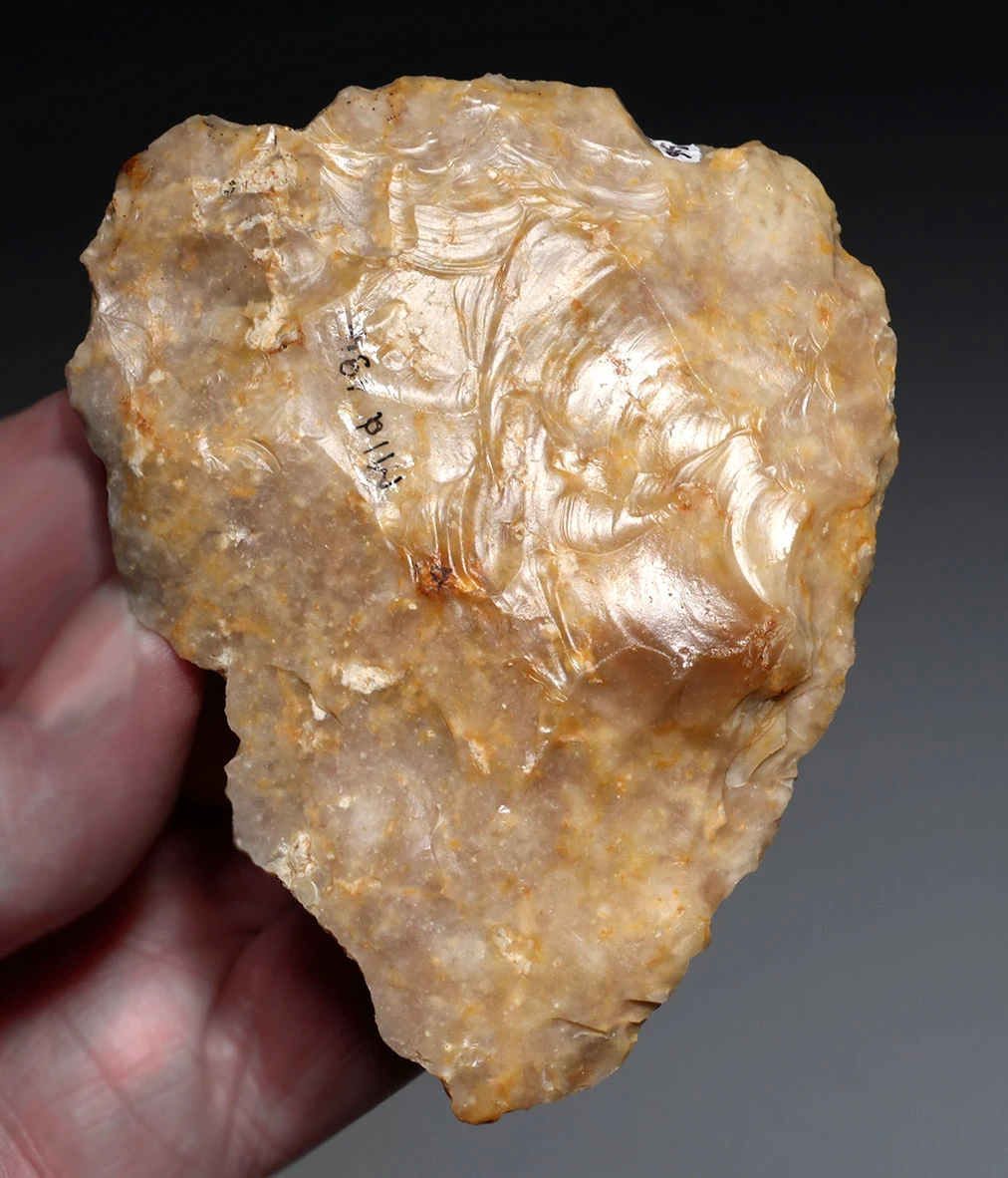INGENIOUS THOUGHT EVOLUTION DESIGN NEANDERTHAL MOUSTERIAN COMBINATION FLINT BIFACE HAND AXE AND SAW FROM DORDOGNE FRANCE  *M560