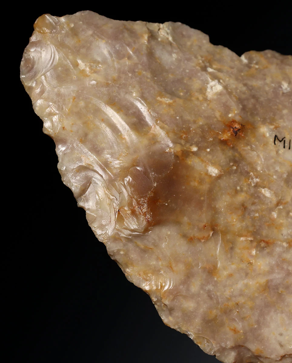 INGENIOUS THOUGHT EVOLUTION DESIGN NEANDERTHAL MOUSTERIAN COMBINATION FLINT BIFACE HAND AXE AND SAW FROM DORDOGNE FRANCE  *M560