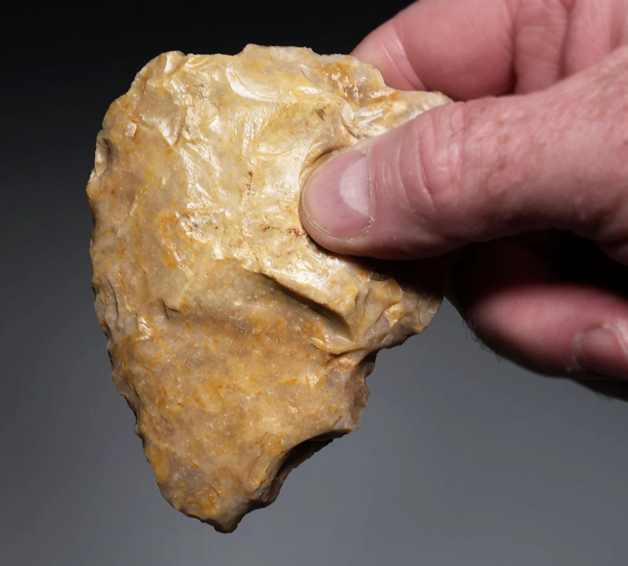 INGENIOUS THOUGHT EVOLUTION DESIGN NEANDERTHAL MOUSTERIAN COMBINATION FLINT BIFACE HAND AXE AND SAW FROM DORDOGNE FRANCE  *M560