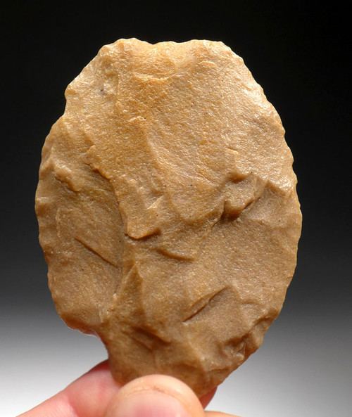 CAP189 - RARE TENERIAN AFRICAN NEOLITHIC LARGE MULTI-PURPOSE OVATE BLADE SCRAPER FROM THE PEOPLE OF THE GREEN SAHARA