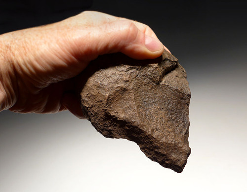 Oldowan Paleolithic Tool Cantabria Spain (37822)