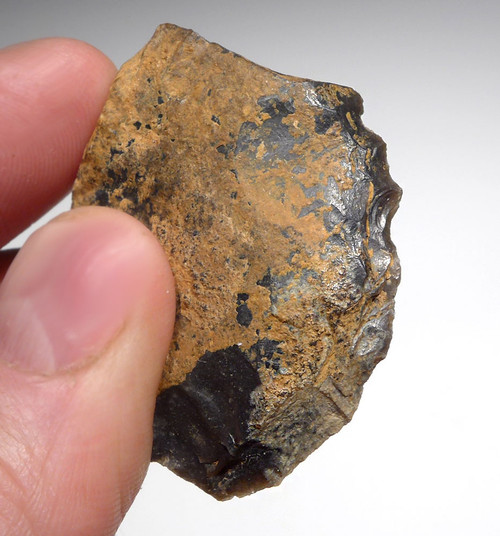 NEANDERTHAL MOUSTERIAN SIDE SCRAPER FLAKE TOOL FROM DORDOGNE FRANCE  *M423