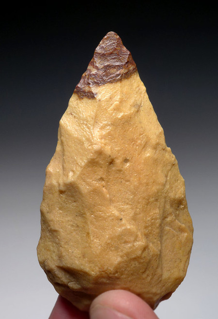 RARE MIDDLE STONE AGE HAND AXE OF RED AND GOLD QUARTZITE FROM LIBYA  *M3601