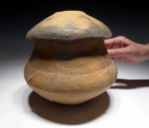 RARE AESTHETIC BRONZE AGE PRESTIGE CLASS CERAMIC URN WITH LID FROM THE URNFIELD LUSATIAN CULTURE *UR47