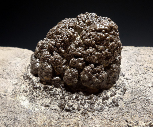 RARE PERMIAN FRESHWATER FOSSIL STROMATOLITE BACTERIA BALL COLONIES IN DIFFERENT FORMATION STAGES  *STX700