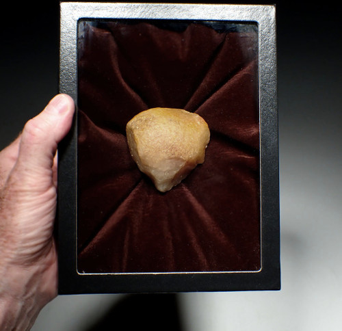 EXTREMELY RARE SMALL QUARTZ OLDOWAN PEBBLE CHOPPER AXE FROM MAURITANIA  *PB178 EXTREMELY RARE SMALL QUARTZ OLDOWAN PEBBLE CHOPPER AXE FROM MAURITANIA  *PB178