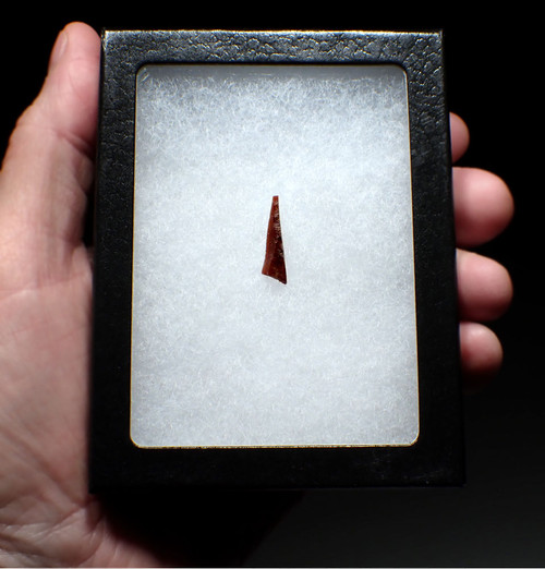 CHOICE CRO-MAGNON FLINT MICROLITH FLAKE BLADE TOOL FROM FAMOUS PREHISTORIC ART CAVE GROTTE DES HARPONS IN FRANCE  *UP058 CHOICE CRO-MAGNON FLINT MICROLITH FLAKE BLADE TOOL FROM FAMOUS PREHISTORIC ART CAVE GROTTE DES HARPONS IN FRANCE  *UP058