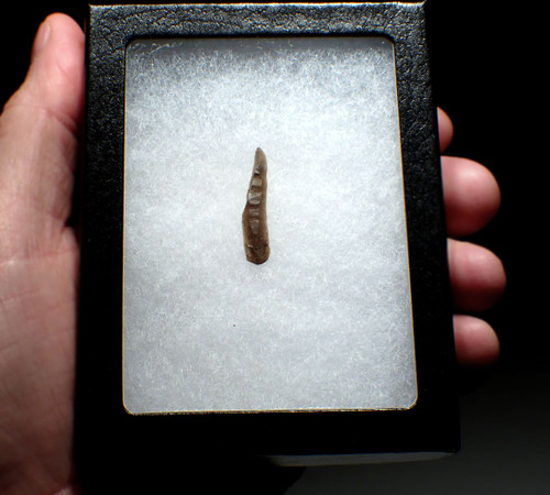 EXCEPTIONAL CRO-MAGNON FLINT MICROLITH FLAKE BLADE TOOL FROM FAMOUS PREHISTORIC ART CAVE GROTTE DES HARPONS IN FRANCE  *UP065