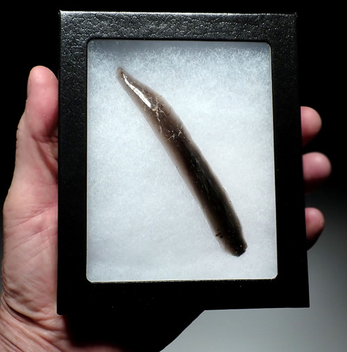 LARGE UNBROKEN AZTEC PRE-COLUMBIAN OBSIDIAN PRISMATIC BLADE FOR RITUAL BLOOD-LETTING SACRIFICE  *PC614