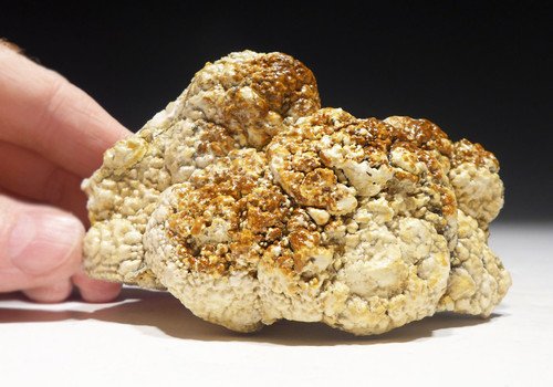 OLIGOCENE FOSSIL STROMATOLITE CYANOBACTERIA BALL COLONIES FROM AN ANCIENT LAKE  *STR584