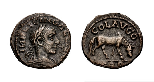 ROMAN PROVINCIAL BRONZE ANCIENT COIN OF GALLIENUS WITH GRAZING HORSE FROM TROAS ALEXANDRIA  *AC225