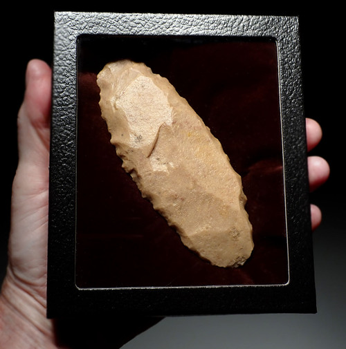 RARE SUPERB LARGE TENERIAN NEOLITHIC DENTICULATE SAW BLADE FLAKE STONE TOOL FROM THE SAHARAN TENERE DESERT  *CAP447