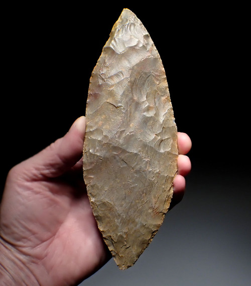 LARGEST OF OUR 25 YEAR COLLECTION - OVER 5000 YEAR OLD RARE PRESTIGE CAPSIAN NEOLITHIC BIFACIAL FLINT LEAF BLADE KNIFE FROM THE SAHARA  *CAP456