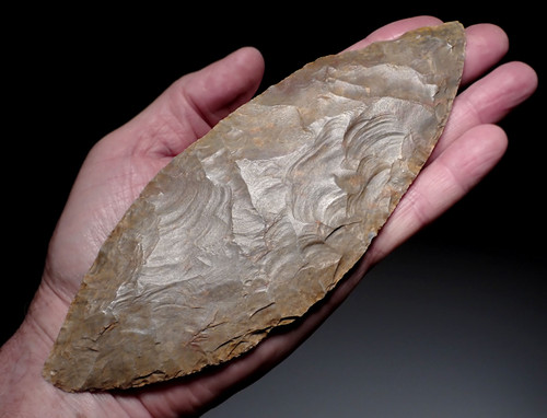 LARGEST OF OUR 25 YEAR COLLECTION - OVER 5000 YEAR OLD RARE PRESTIGE CAPSIAN NEOLITHIC BIFACIAL FLINT LEAF BLADE KNIFE FROM THE SAHARA  *CAP456