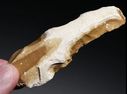 AESTHETIC LARGE BALKAN EARLY NEOLITHIC GOLD FLINT BLADE FLAKE TOOL FROM THE FIRST FARMING SOCIETY  *N359