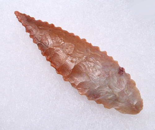 FINEST INVESTMENT GRADE CAPSIAN AFRICAN NEOLITHIC SERRATED ARROWHEAD WITH UNIQUE COLORS  *CAP481