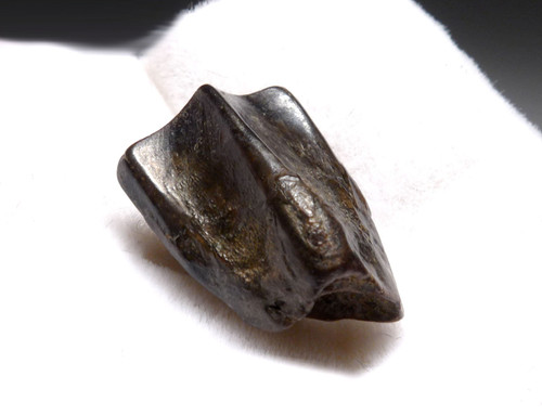 EXCELLENT EDMONTOSAURUS HADROSAUR "DUCK-BILLED" FOSSIL DINOSAUR TOOTH  *DT7-235