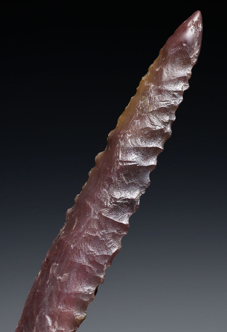 LARGE FINEST INVESTMENT GRADE CAPSIAN AFRICAN NEOLITHIC SERRATED ARROWHEAD FOR DEEP PENETRATION  *CAP486