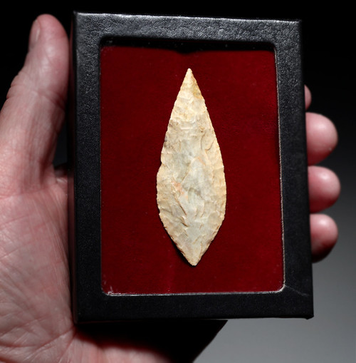 LARGE COLLECTOR GRADE POINTED TANG CAPSIAN AFRICAN NEOLITHIC ARROWHEAD  *CAP488