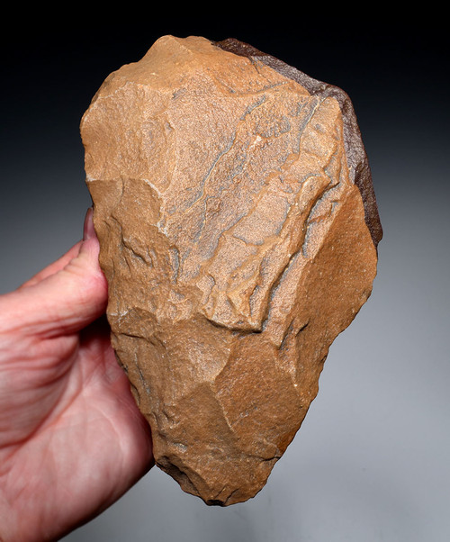  INVESTMENT-CLASS BI-COLORED ACHEULEAN HAND AXE MADE BY HOMO ERGASTER OF STONE AGE AFRICA  *ACH492