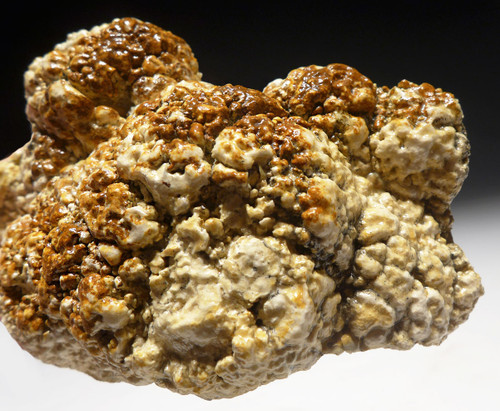 OLIGOCENE FOSSIL STROMATOLITE CYANOBACTERIA BALL COLONIES FROM AN ANCIENT LAKE  *STR584