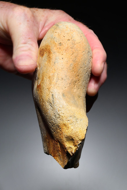 FINEST MAXIMUM SIZE INVESTMENT-CLASS OLDOWAN FLINT PEBBLE AXE FROM WIMEREUX LOWER PALEOLITHIC FRANCE  *PB230