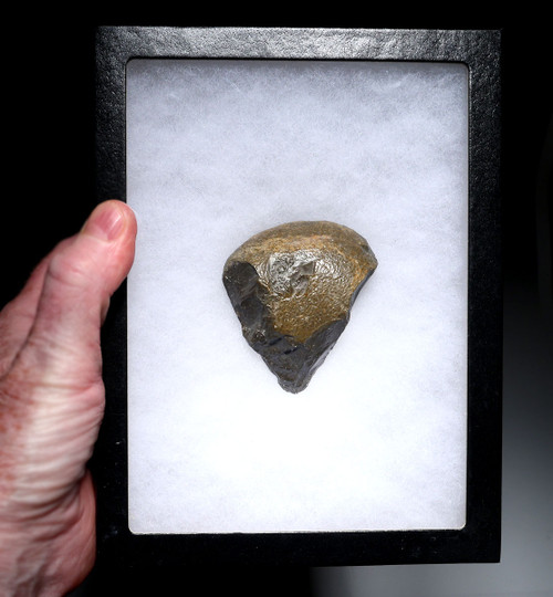 MUSEUM-CLASS TENERE DESERT AFRICA HOMO ERGASTER MODE 1 OLDOWAN PEBBLE CHOPPER AXE WITH INTACT POINTED TIP - OLDEST HUMAN TOOL  *PB229