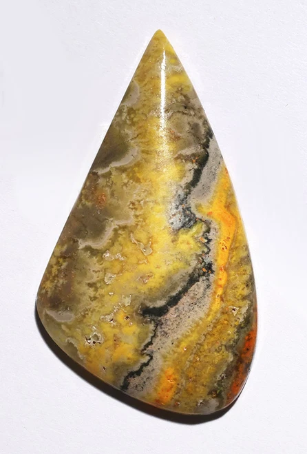 EXCEPTIONAL BUMBLEBEE JASPER CABOCHON GEMSTONE  *G39