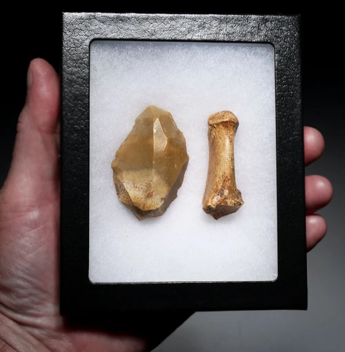 EXCEPTIONAL CRO MAGNON AURIGNACIAN UPPER PALEOLITHIC FLINT RABOT PLANER FLAKE TOOL WITH BUTCHERED MEGAFAUNA FOSSIL BONE FROM FAMOUS LA GANE SITE IN FRANCE  *UP091