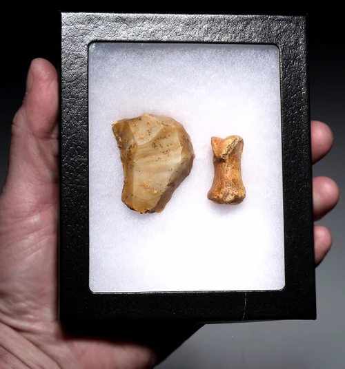 SUPERB CRO MAGNON AURIGNACIAN UPPER PALEOLITHIC FLINT RABOT PLANER FLAKE TOOL WITH BUTCHERED MEGAFAUNA FOSSIL BONE FROM FAMOUS LA GANE SITE IN FRANCE  *UP094