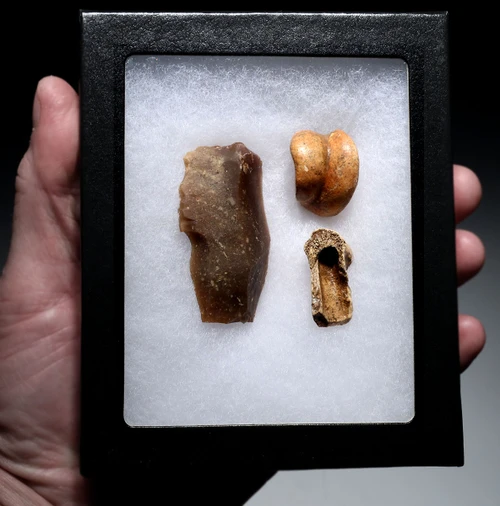 CRO MAGNON AURIGNACIAN UPPER PALEOLITHIC FLINT COMBINATION TOOL WITH BUTCHERED MEGAFAUNA FOSSIL BONES FROM FAMOUS LA GANE SITE IN FRANCE  *UP090