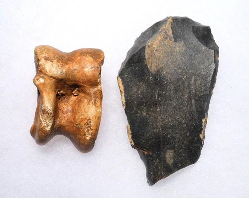 LARGE SUPERB CRO MAGNON AURIGNACIAN UPPER PALEOLITHIC FLINT COMBINATION TOOL WITH BUTCHERED BISON FOSSIL ANGLE BONE FROM FAMOUS LA GANE SITE IN FRANCE  *UP085