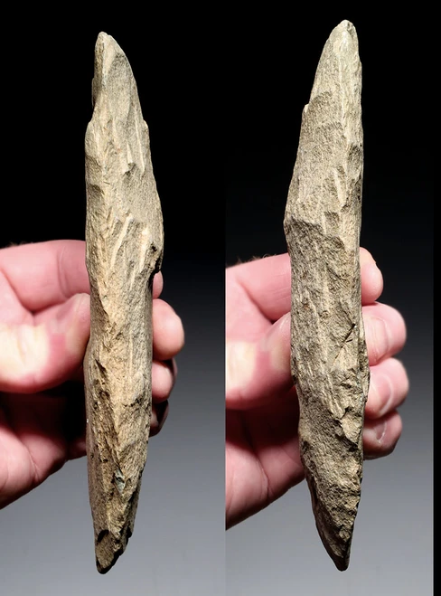 EXCEPTIONAL AND LARGE THIN STONE CELT WAR AXE FROM THE AFRICAN CAPSIAN NEOLITHIC  *CAP500