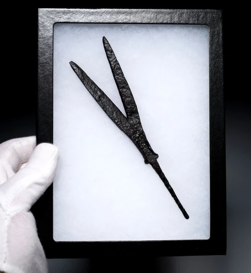 EXTREMELY RARE ANCIENT SAKA SCYTHIAN LARGE IRON BIFURCATED FORKED PRESTIGE ARROWHEAD  *LUR490