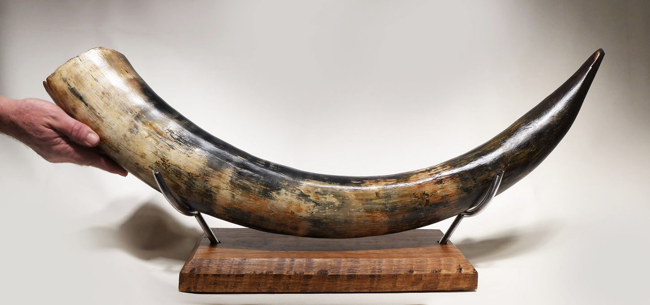 BIG-TUSKED MAMMOTH 英語 旧アジア レリーフ 48時間限定]遊戯王 英語 ビッグホーン•マンモス レリーフ 旧