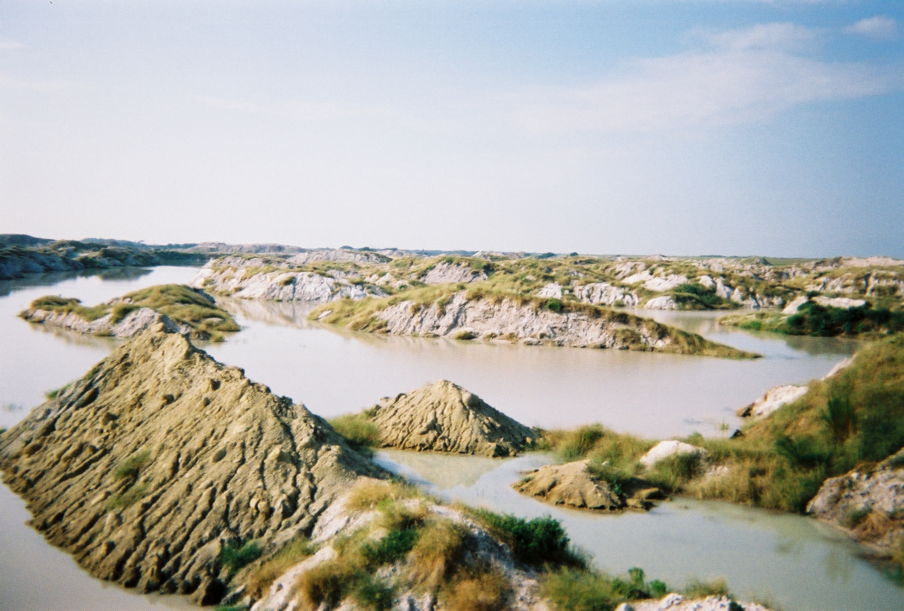 Bone Valley Phosphate Fossils