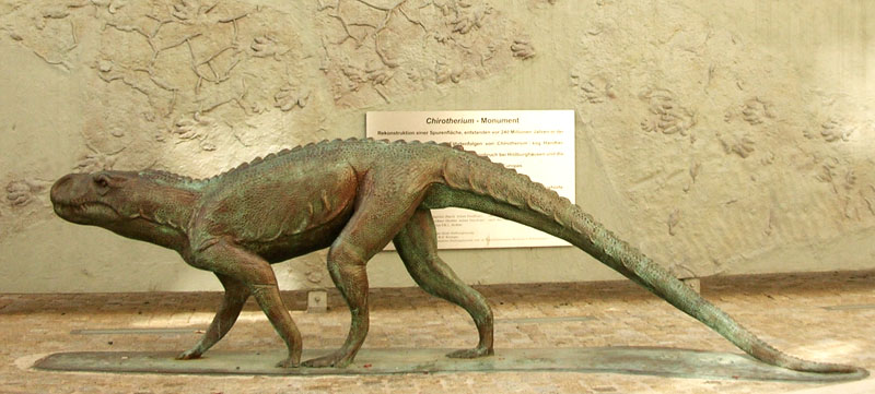 CHIROTHERIUM