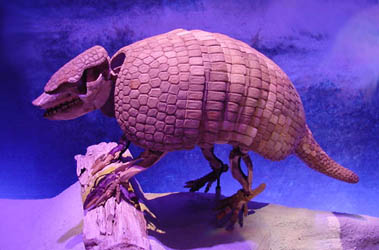 ancient giant armadillo