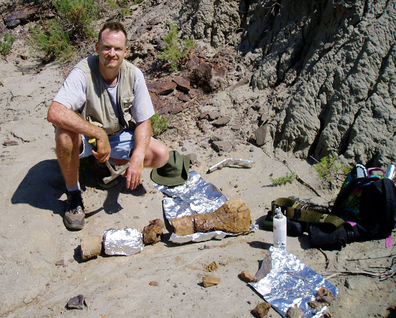 T REX BONE DISCOVERY