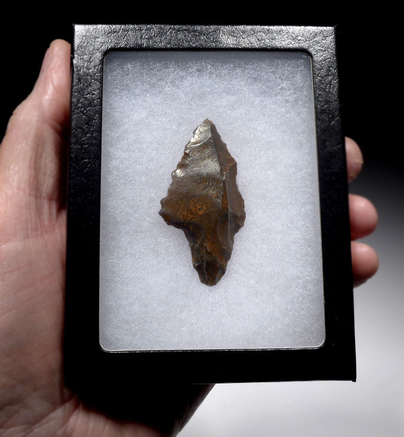 FINEST ATERIAN TANGED POINT OF RARE PETRIFIED WOOD - OLDEST KNOWN ARROWHEAD  *AT113 - TIME VAULT GALLERY