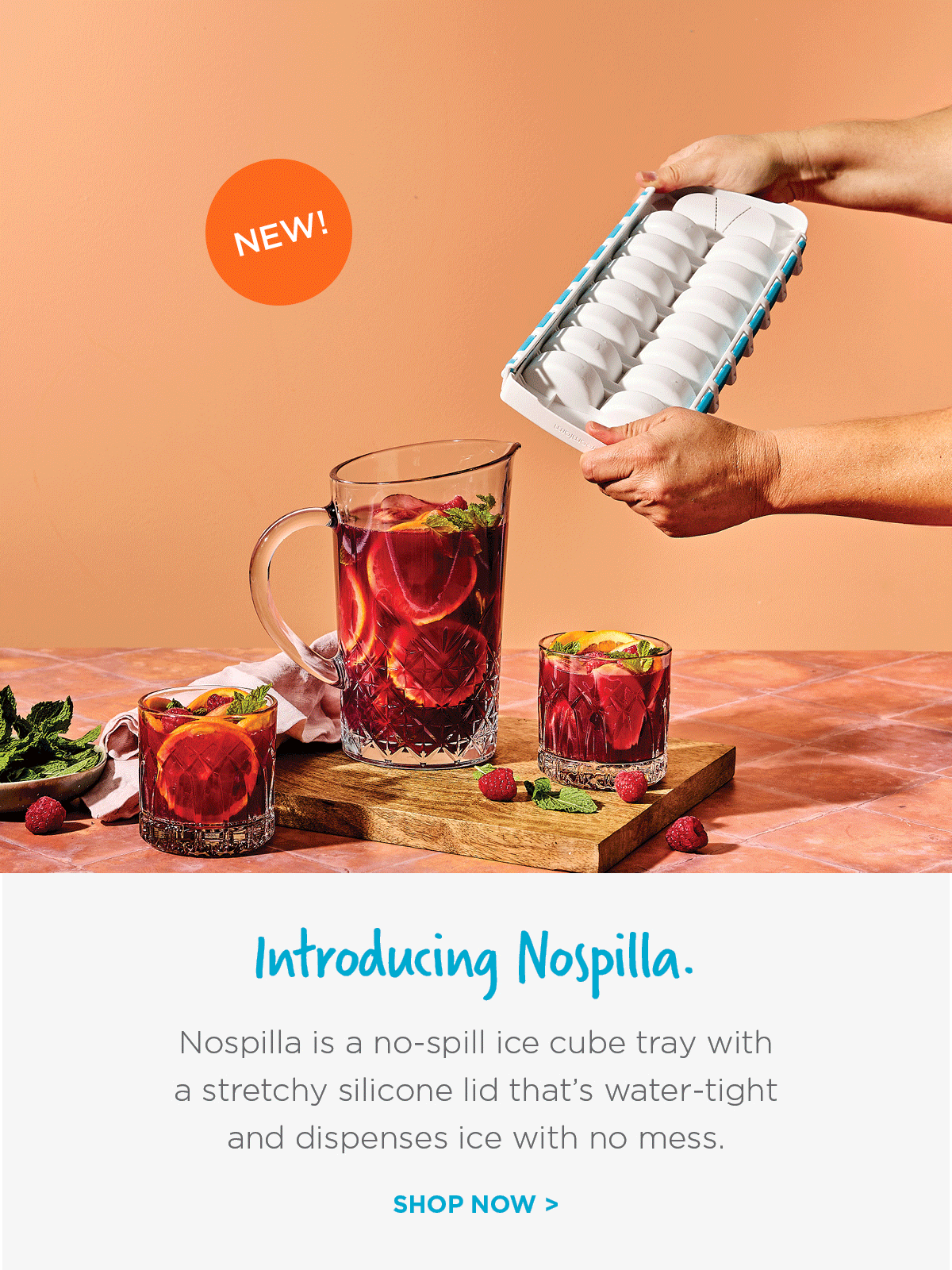 Introducing Nospilla