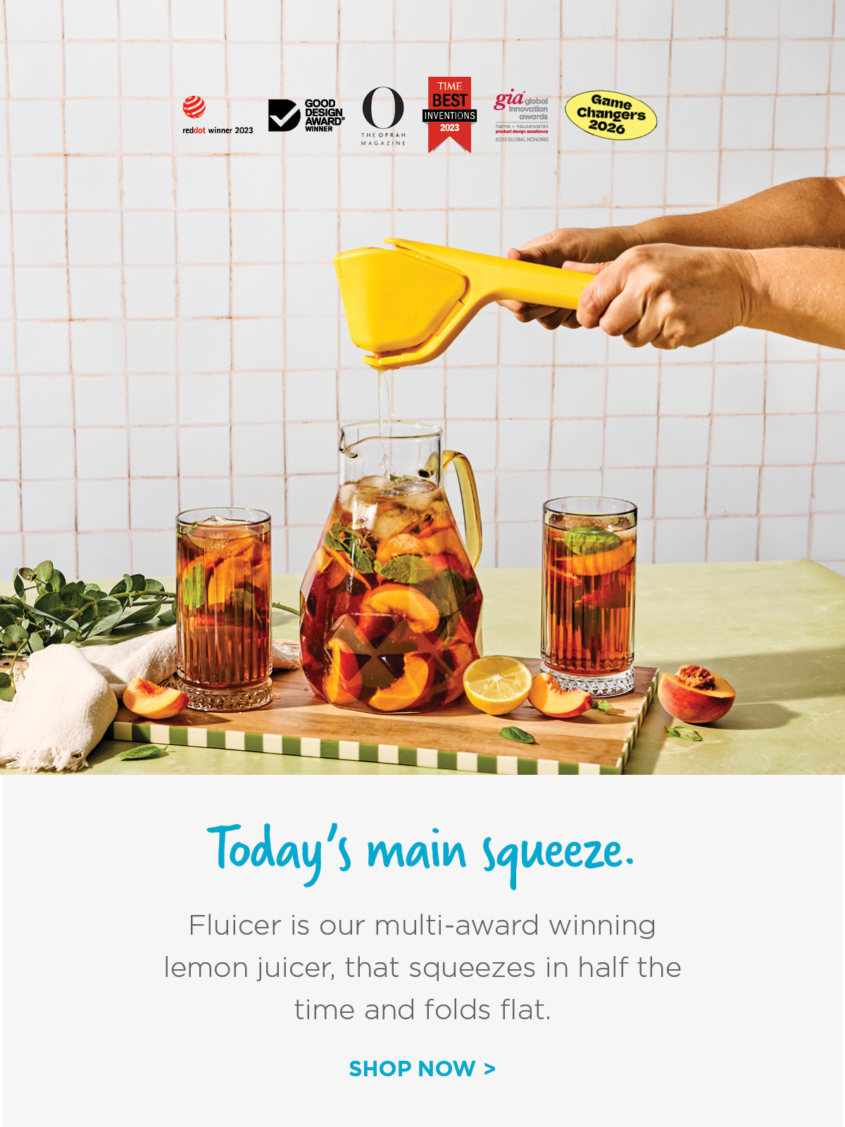 Fluicer - Fold Flat Easy Juicer