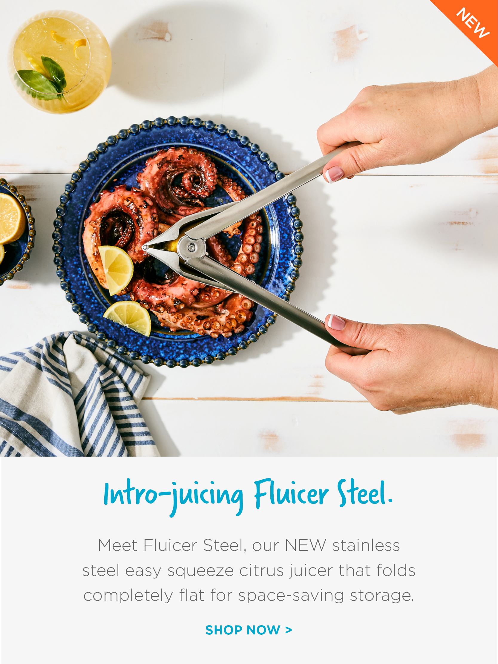 Fluicer Steel