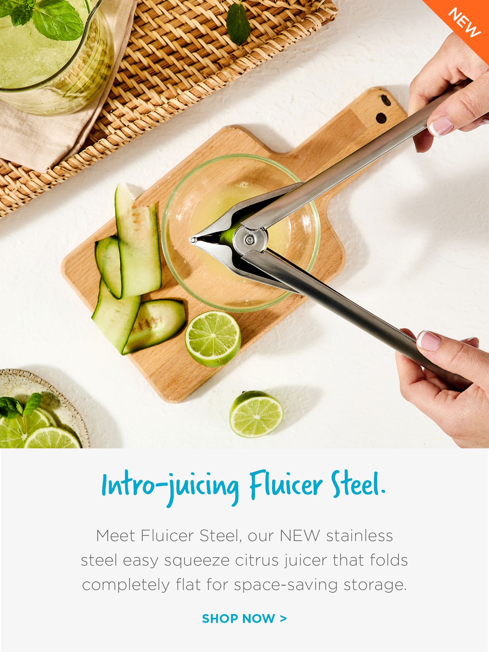 Fluicer Steel