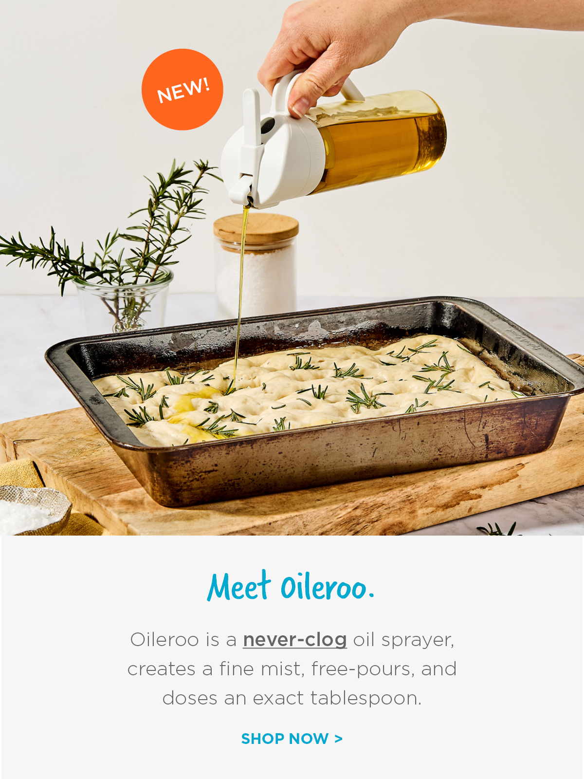 Meet Oileroo