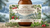 Hand And Body Lotion